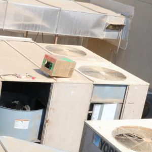 WhatsApp Image 2020-11-15 at 2.35.23 PM (1)